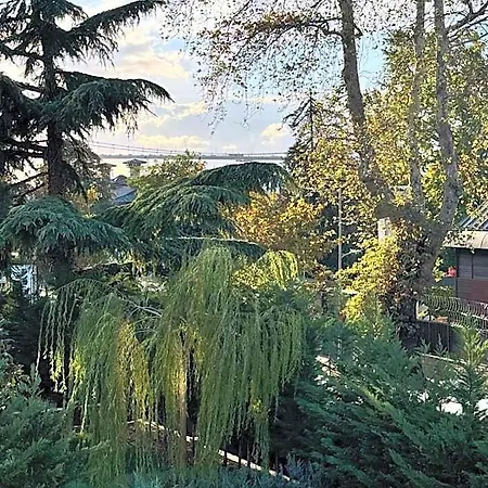 Hotel Mateo Estambul